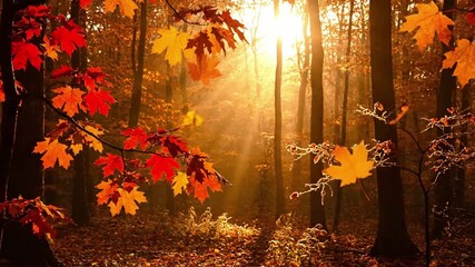 Macro Leaf Details amber glow autumn Extreme close up on dew kissed autumn leaves on the ground, with each water droplet or surface catching and enhancing an amber light.