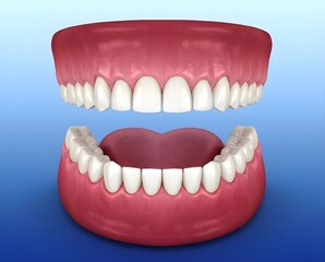 3D Illustration of Separated Full Denture Set with Upper and Lower Artificial Teeth