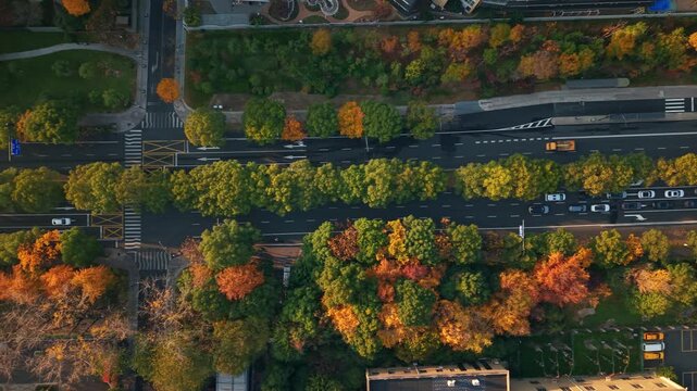 Aerial view of city traffic at intersection in China during autumn season showing cars, trees, and crosswalks