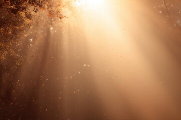 Magical Golden Light in Dreamy Forest Scene