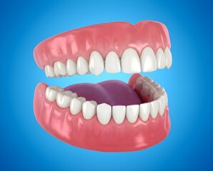 3D Illustration of Full Denture Set with Upper and Lower Artificial Teeth
