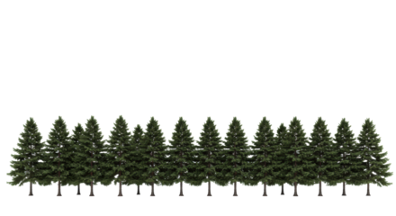 photorealistic horizontal row of mature scots pine trees with dense green foliage and textured bark. isolated on a transparent background with side lighting. concept of modular design element