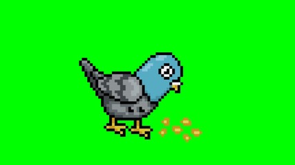 Pigeon eating bread crumbs, pixel art animation