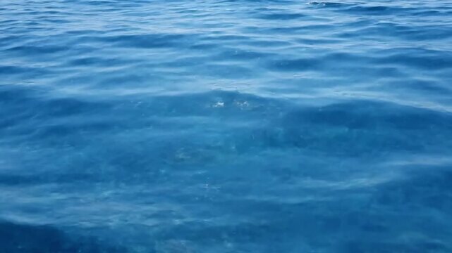 Underwater Light Play ocean reflections summer Half submerged perspective, revealing both the shimmering surface reflections and the