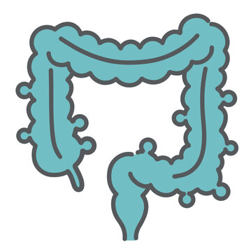 大腸憩室症（多発する憩室）のイラスト