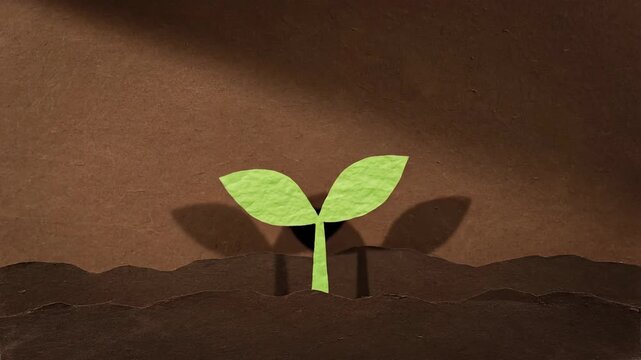 Paper Cut Stop Motion Animation of Seed Bomb Lifecycle to Tree