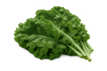 Fresh green kale leaves offering healthy nutrition and a raw organic superfood, promoting a wholesome, balanced diet