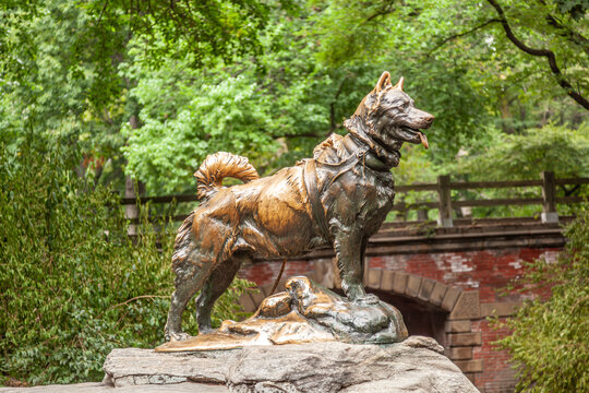 monument of siberian husky Balto
