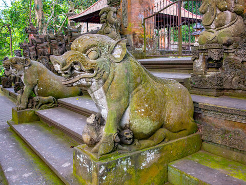 Guard - wild boar- near the gate of temple Pura Dalem Agung, monkey forest, Bali, Indonesia