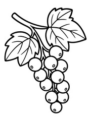 Obraz premium Grape Illustration: A detailed black and white illustration of a grape bunch, with leaves, is a versatile design element for projects related to wine, food, and nature. 