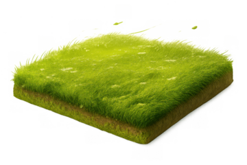Green grass turf square section with brown soil, 3d rendering cut piece of field or lawn showing cross section on transparent background