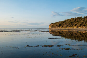 View of the Waterfront Forest at Sunset at Baie Sainte-Claire, in Anticosti Island, Quebec, Canada