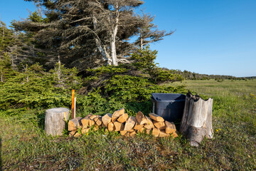 Chopped Firewood, Tree Stumps, and Open Meadow reflect Simple Rural Life, where Tools, Forest, and Sunlight create a Practical, Quiet, and Natural Outdoor Scene in Baie-Sainte Claire, Quebec, Canada