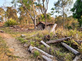 Rustic wooden cabin and chopped firewood in a field and forest area