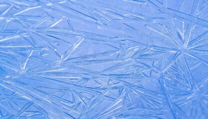 Symmetrical hexagonal snowflake with intricate branching crystal structure transparent glass-like icy texture photorealistic style soft diffused light refracted specular highlights cool blue palette s