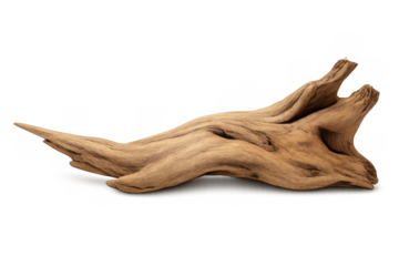 Driftwood branch showing weathered wood surface and rough texture, ready for aquarium decor or rustic crafts on transparent background