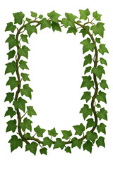 Green Ivy Leaf Frame Isolated on Transparent Background Botanical Ivy Border Cut Out PNG
