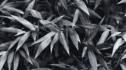 Close-up monochrome shot of overlapping leaves forming a dense pattern, showcasing texture variations from light to dark shades