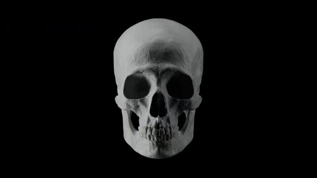 Realistic natural white bone human skull shaking head No gesture, seamless loop of negative answer or rejection concept 3D animation.