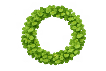 Green foliage loop forming a natural round frame, fresh botanical wreath circle border on transparent background