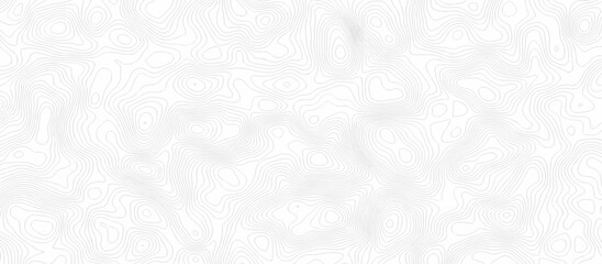 Seamless grid white and gray area curve topography elevation map. wave diagram contour stripe spiral composition discovery paper surface design. © haven lklkj11