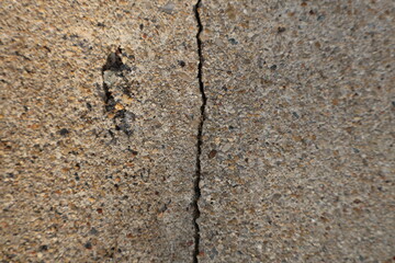 Macro View of a Vertical Crack in a Rough Textured Concrete Wall