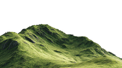 Green Mountain Landscape 