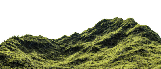 Green Mossy Hills Landscape