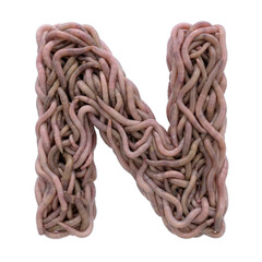 earthworm letter N - Uppercase 3d earthworm font isolated on white background. This alphabet is perfect for creative illustrations related to gardening, compost, horror concept. Generative AI