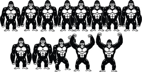 Muscular gorilla vector set with strong poses, black and white style, flexing arms, symmetrical layout, bold animal illustration design. © Arif Creatives