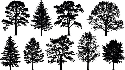 Collection of diverse tree silhouettes against a white background