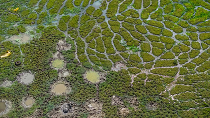a Light Over Pui O Wetlands Hong Kong Oct 25 2025