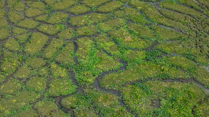 a Light Over Pui O Wetlands Hong Kong Oct 25 2025