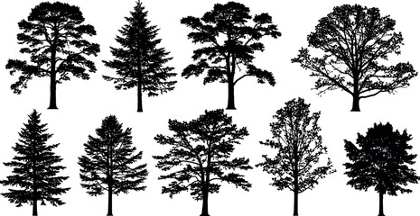 Collection of diverse tree silhouettes against a white background