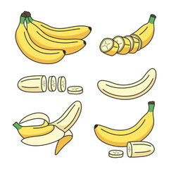 Banana illustration