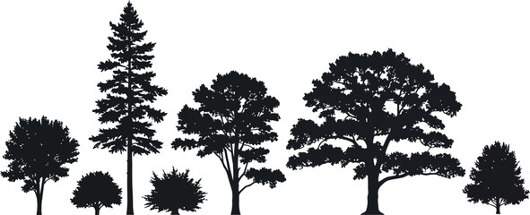 Black silhouettes of various trees on a white background