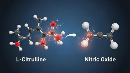 A molecular structure of L-Citrulline converting to Nitric Oxide