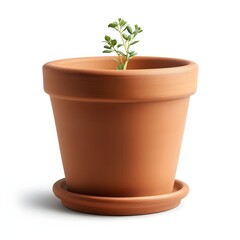 green plant in a pot