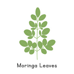 Moringa Leaves Flat Cartoon Vector Illustration Isolated on White Background