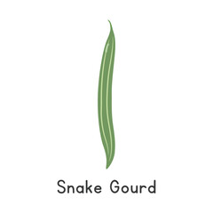 Snake Gourd Flat Cartoon Vector Illustration Isolated on White Background