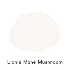 Lion's Mane Mushroom Vector Illustration, Cartoon Clipart, Vegetable in Flat Style. Also called Yamabushitake, Bearded Tooth Fungus, Bearded Hedgehog, or Hericium erinaceus. Mushroom and Fungi Concept