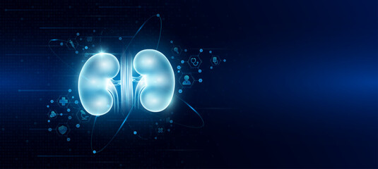 Health care medical. Human kidney organ hologram transparent in the ring line with icon digital medical technology. On dark blue background. Science banner vector.