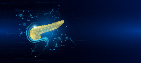 Health care medical. Human pancreas organ hologram transparent in the ring line with icon digital medical technology. On dark blue background. Science banner vector.