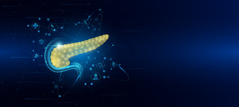 Health care medical. Human pancreas organ hologram transparent in the ring line with icon digital medical technology. On dark blue background. Science banner vector.