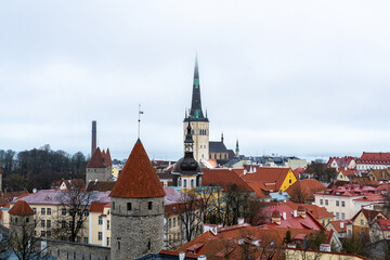 Obraz premium Tallinn, Estonia – Panoramic view of the Old Town skyline with medieval towers, red tile rooftops, church spires, and winter trees seen from an elevated viewpoint.