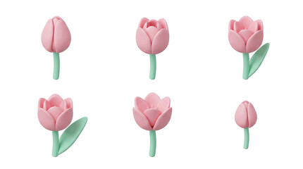 Set of 3d rendering pink tulip flowers in different blooming stages isolated on transparent background, png file
