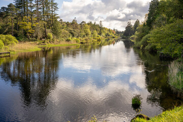 Fototapeta premium A calm river with trees on both sides. The water is still and the sky is cloudy. The scene is peaceful and serene