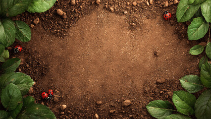 Mysterious Jungle Ground Frame with Central Dirt Space