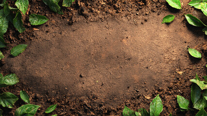 Mysterious Jungle Ground Frame with Central Dirt Space