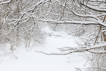 Snowy Path in park